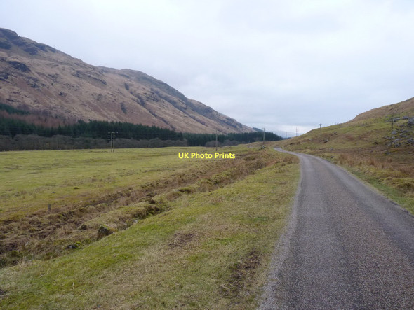 Photo 6"x4" Along Glen Fyne Merk Burn c2011