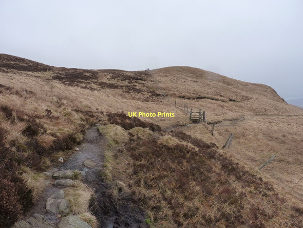 Photo 6"x4" Crossing the fence below Tom Fithich Rowardennan c2011