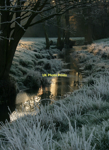 Photo 6"x4" Watercourse beside the River Waveney Homersfield c2011