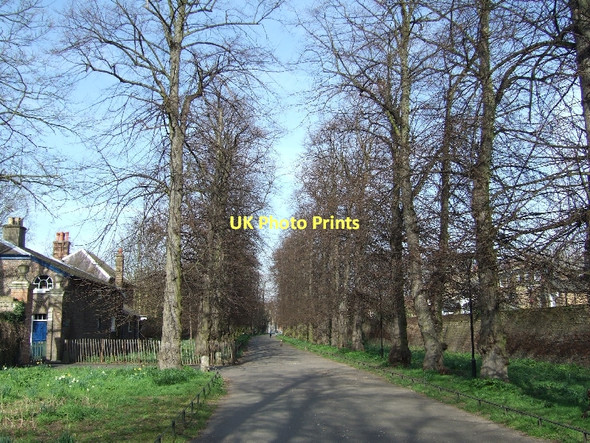 Photo 6"x4" The avenue leading to Duke's Avenue Gate Barnes c2011