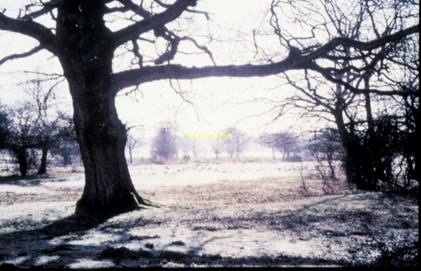 Photo 6"x4" Brockenhurst - 1987 Balmerlawn c1987