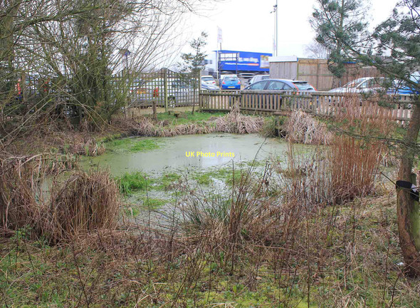 Photo 6"x4" Small pond by footpath near Hollow Farm Higham on the Hill c2011