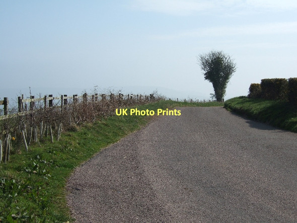 Photo 6"x4" Minor road and new hedge Higher Metcombe c2011