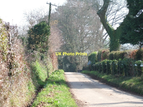 Photo 6"x4" Minor road near Pine Lodge Goosemoor\/SY0689 c2011