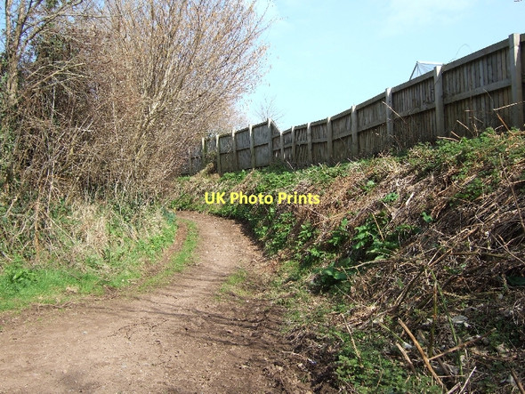 Photo 6"x4" Footpath from Southerton to Venn Ottery Southerton c2011