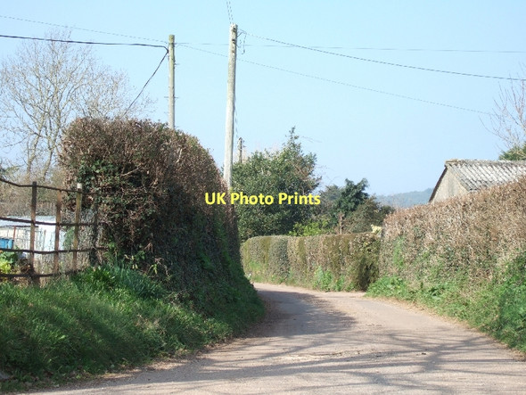 Photo 6"x4" Road to Southerton Harpford c2011