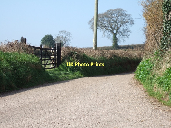 Photo 6"x4" Minor road running through the country between Newton Poppleford and Southerton Newton Poppleford c2011