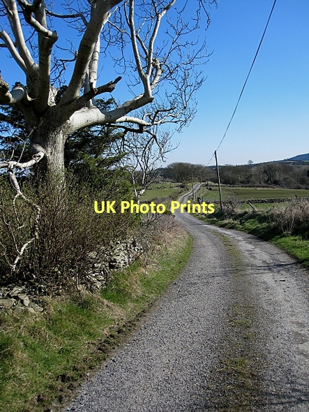 Photo 6"x4" Country Road Cullahill c2011