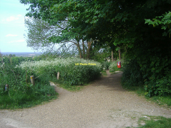 Photo 6"x4" Entrance to parkland off Warren Road Guildford c2009
