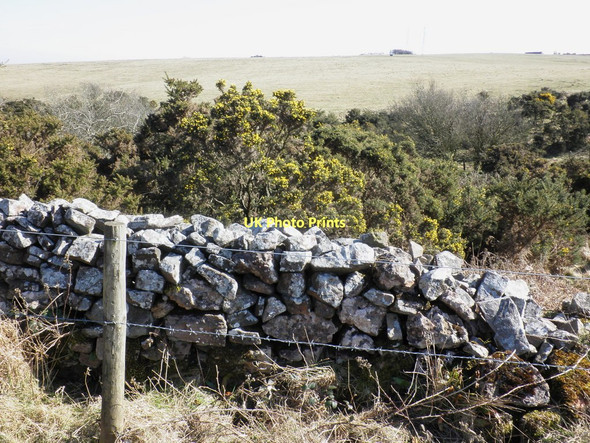 Photo 6"x4" Wooded valley, in the Mendips Blagdon\/ST5058 c2011
