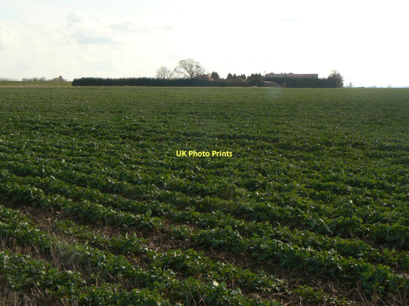 Photo 6"x4" Lady Croft Farm Wildsworth c2011