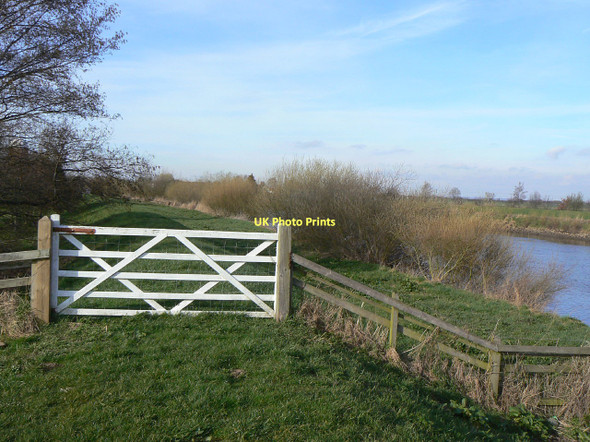 Photo 6"x4" Trent Embankment near Owston Ferry East Ferry c2011
