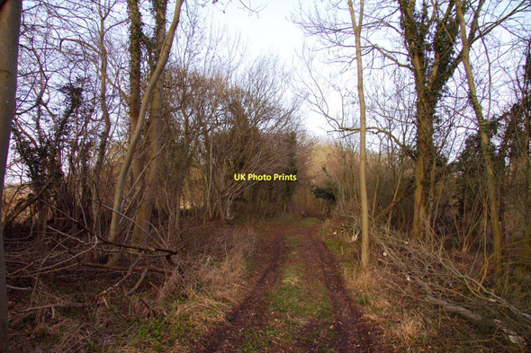 Photo 6"x4" A track in Lashford Lane Fen Bessels Leigh c2011
