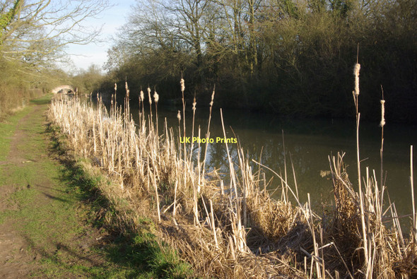 Photo 6"x4" Grand Union Canal, below Bascote Locks Bascote c2011