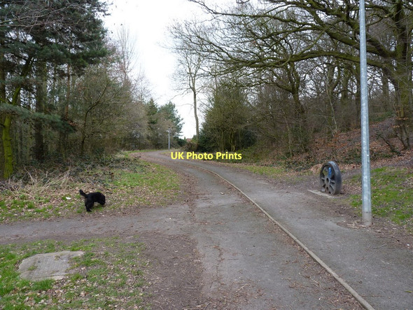 Photo 6"x4" Silkin Way, Wrockwardine Wood Telford c2011