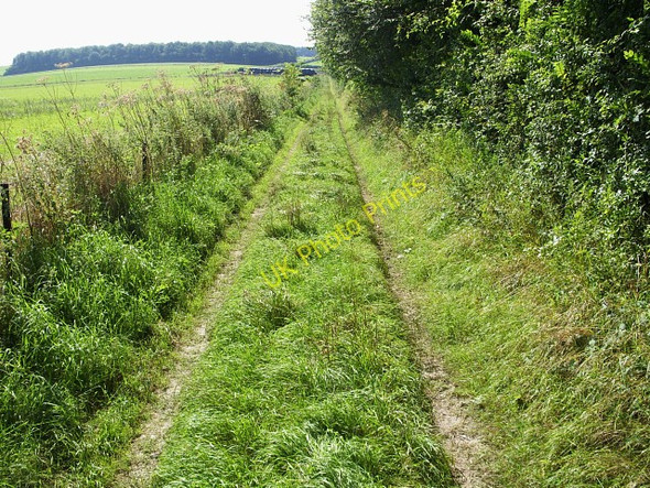 Photo 6"x4" Bridleway past Launceston Down northeast of Tarrant Launceston Tarrant Launceston c2009