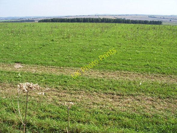 Photo 6"x4" Launceston Down (1) Tarrant Launceston c2009