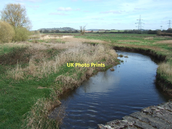 Photo 6"x4" The Culm from Culm Bridge Brookleigh c2011
