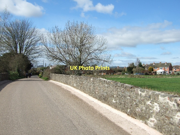 Photo 6"x4" Culm Bridge and Stoke Canon Huxham c2011