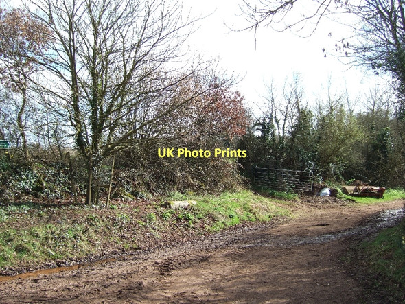 Photo 6"x4" Start of bridleway in Huxham Huxham c2011