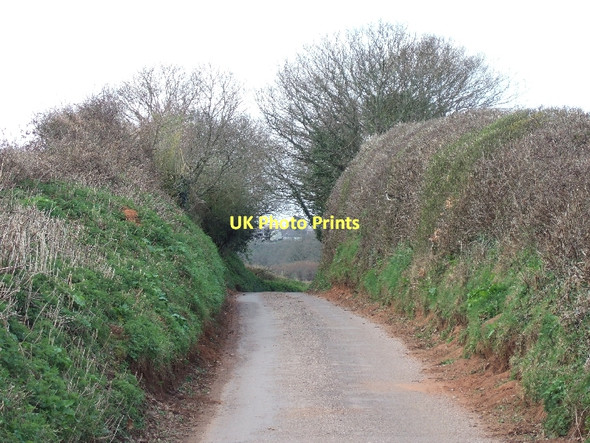 Photo 6"x4" Cutting on road near Brookleigh Brookleigh c2011 P1