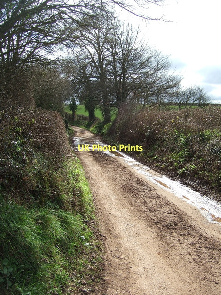 Photo 6"x4" Farm track to Hayes Farm Poltimore c2011