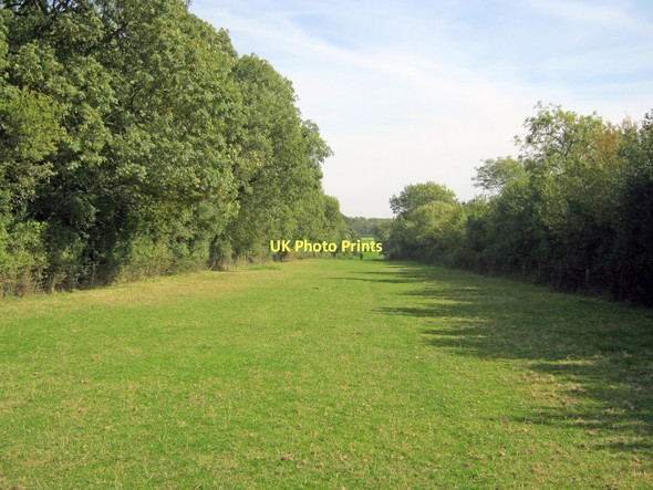 Photo 6"x4" Avenue at Stowe Woods - 1 Dadford c2010