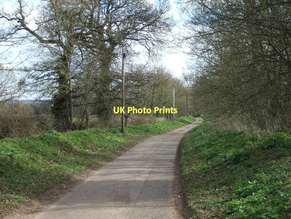 Photo 6"x4" Road passing Broadclyst windmill Burrow\/SX9997 c2011