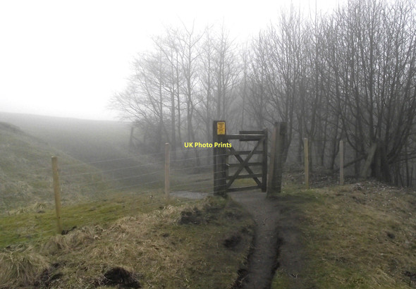 Photo 6"x4" Out of the woods Buxton\/SK0673 c2011