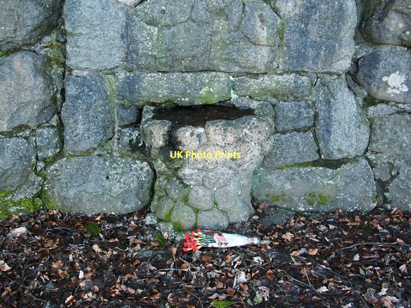 Photo 6"x4" The Bonnie Wee Well (detail) Johnstone\/NS4362 c2011