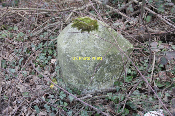 Photo 6"x4" Moss on the top Tidmarsh c2011