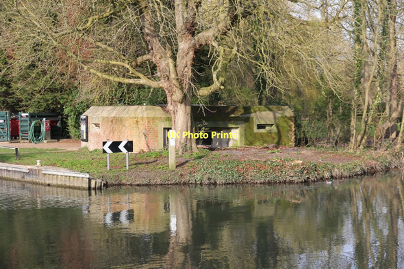 Photo 6"x4" Tree in front Ufton Green c2011