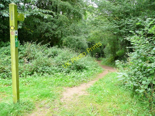 Photo 6"x4" Footpath to the Wye Brinkley Hill c2009
