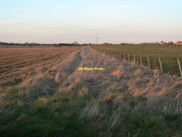 Photo 6"x4" Uncultivated headland Wildsworth c2011