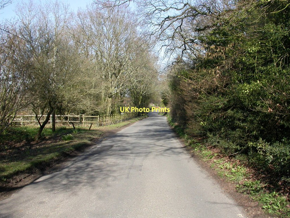 Photo 6"x4" Broom Hill, Colehill Lane Wimborne Minster c2011