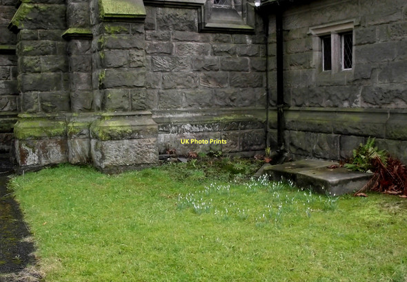Photo 6"x4" Holy Trinity Church, Mossley- Snowdrops Congleton c2011
