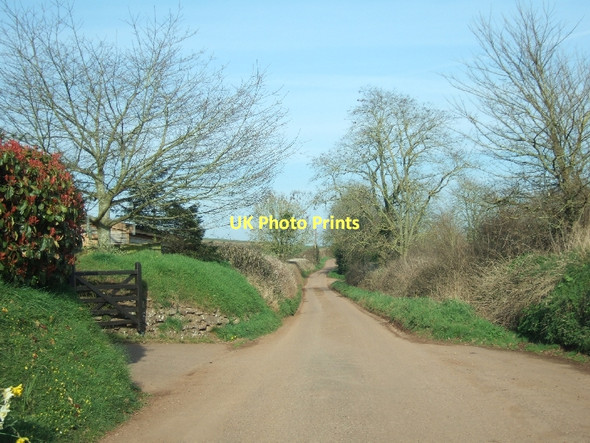 Photo 6"x4" Minor road passing Heazille Cottages Columbjohn c2011