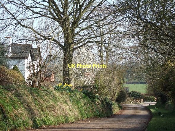 Photo 6"x4" The road to Rewe Court Columbjohn c2011