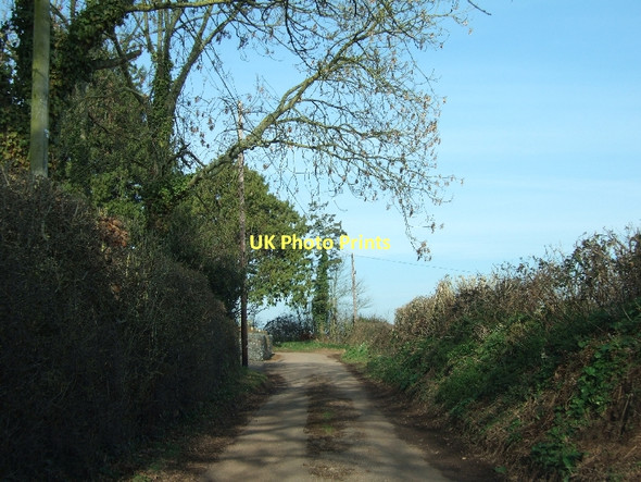 Photo 6"x4" Minor road passing Singleton Park Ellerhayes c2011