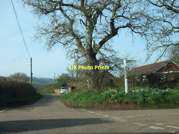 Photo 6"x4" Poundsland Cross and Poundsland Cottages Silverton\/SS9502 c2011