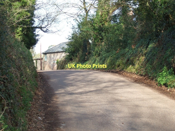 Photo 6"x4" The road to Stockwell Ellerhayes c2011