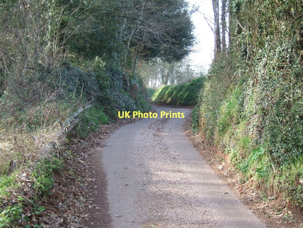 Photo 6"x4" Cot Lane from Stockwell Cross to Ford Ellerhayes c2011
