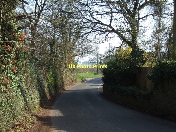 Photo 6"x4" Road to Ellerhayes from Stockwell Cross Ellerhayes c2011