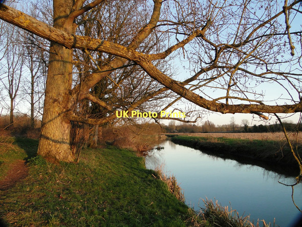 Photo 6"x4" Trees alongside the River Yare at Harford, looking east Eaton\/TG2106 c2011