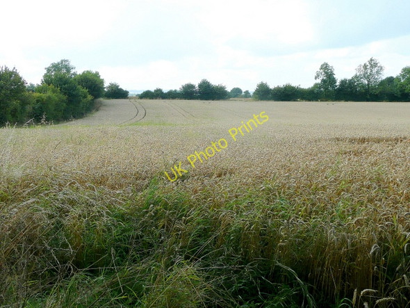 Photo 6"x4" Arable at Oddington 1 Upper Oddington c2009