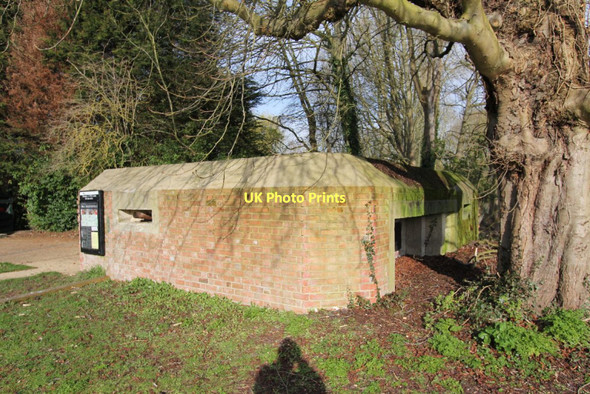 Photo 6"x4" Pillbox under the tree Ufton Green c2011