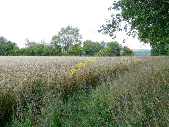 Photo 6"x4" Arable at Oddington 2 Upper Oddington c2009