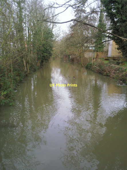 Photo 6"x4" A branch of the River Cherwell Oxford\/SP5106 c2011