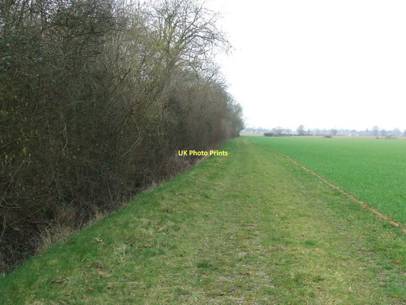 Photo 6"x4" Bulls Wood Colchester Green c2011