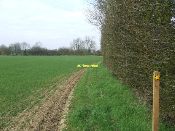 Photo 6"x4" Footpath Junction Colchester Green c2011